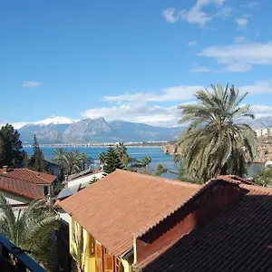 Tulipan Hotel